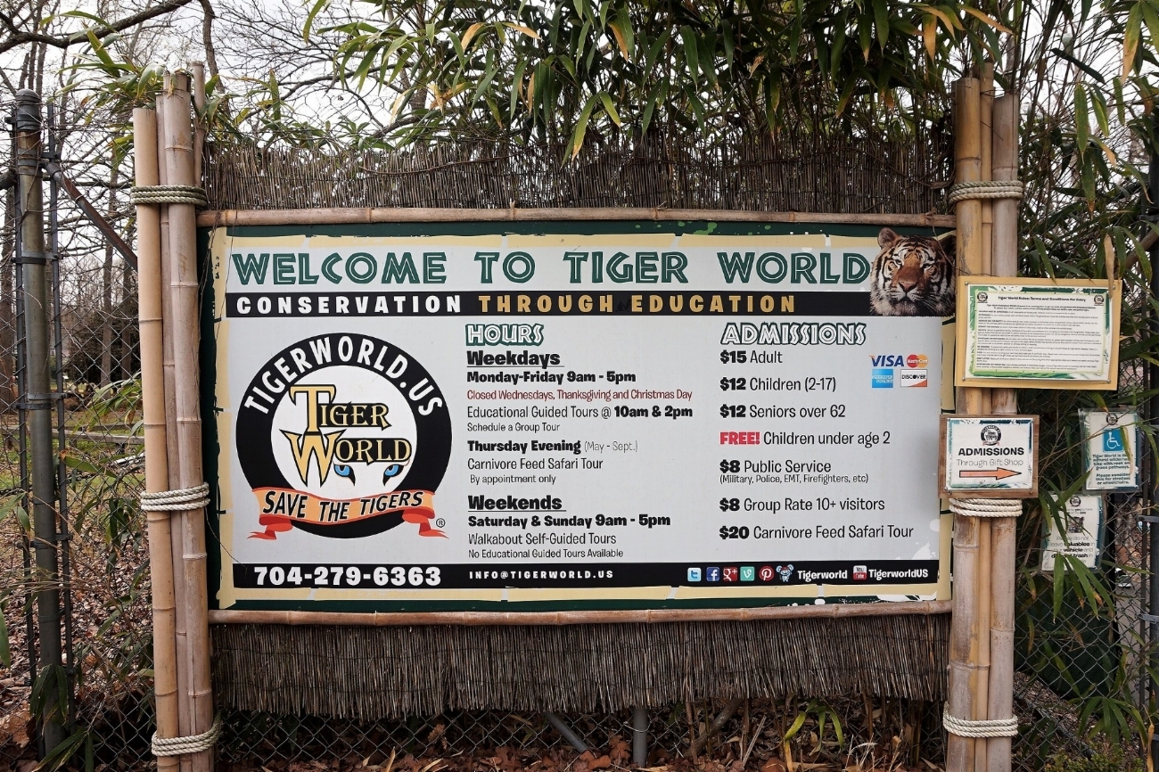 Tiger world 2024
